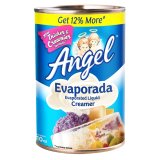 ANGEL EVAPORADA