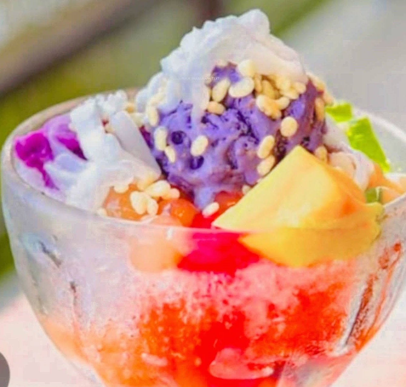 HALO HALO S