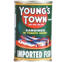 YOUNG'S TOWN